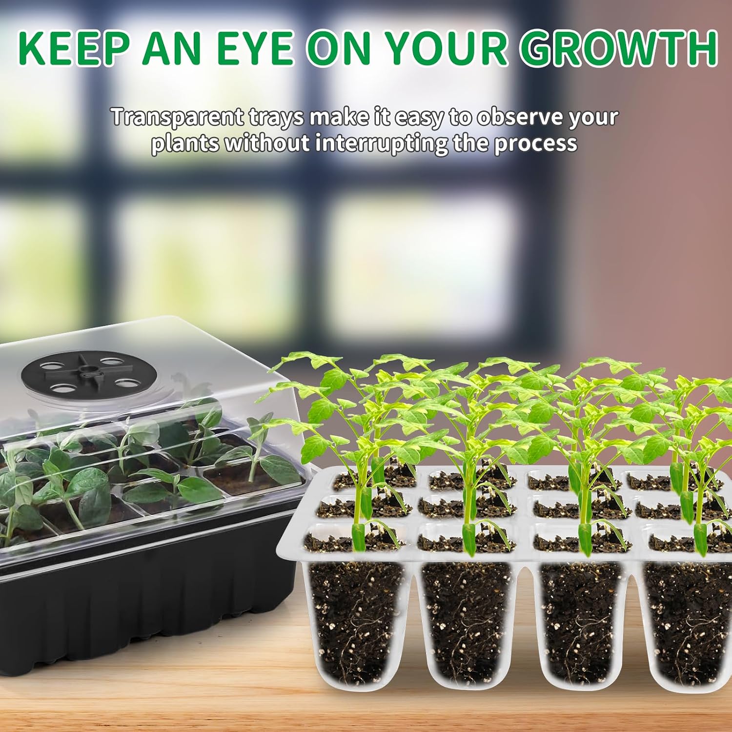 NAMOTEK 5 Pack Seed Starter Tray with Heat Mat and Grow Light Humidity Domes, 60 Cell Trays Germination Station Cloning