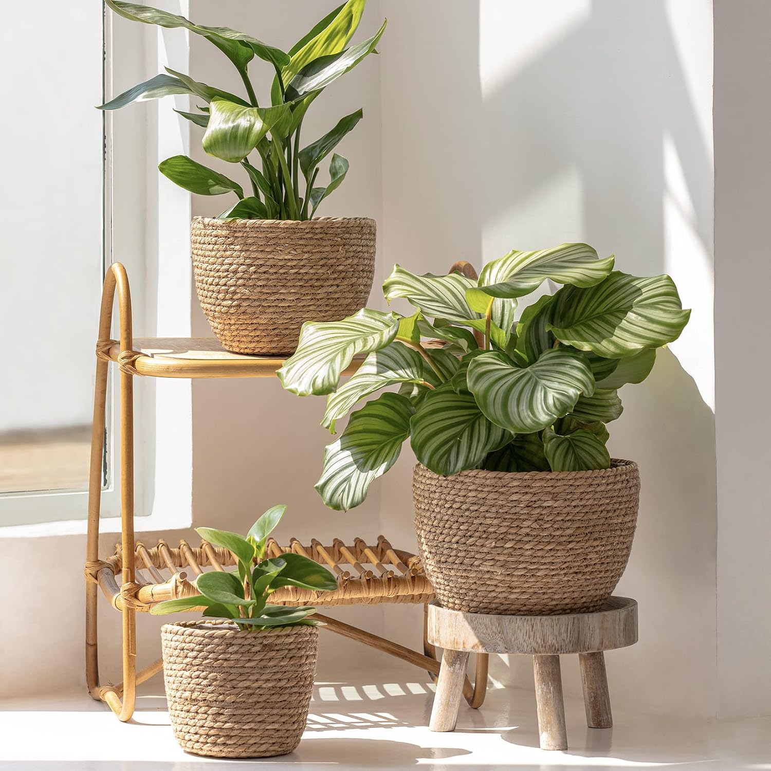 LA JOLIE MUSE Seagrass Basket Planters for Indoor Plants, Flower Pot 3 Pack | 10.2+8.7+6.7 Inch, Handwoven Natural