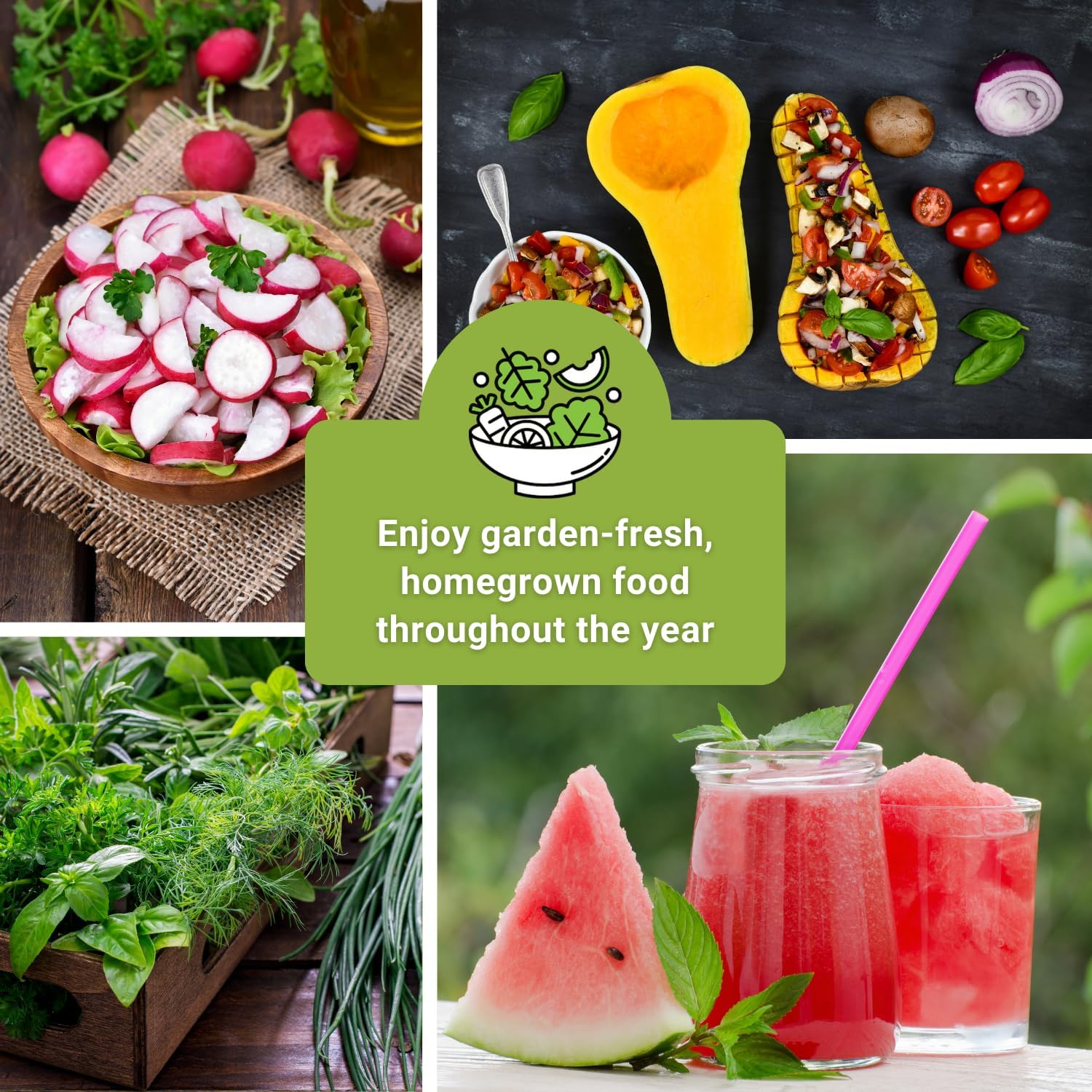 Sow Right Seeds - Complete Garden Seed Collection for Planting at Home | Includes vegetables, herbs, and flowers. Plant