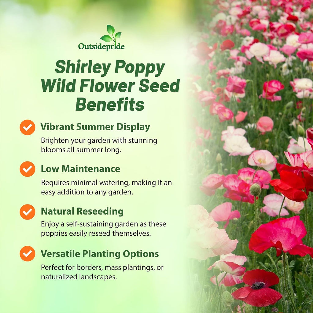 Outsidepride Shirley Poppy Seeds for Planting - 1 lb Annual, Drought-Tolerant & Easy to Grow Wildflower Seeds with