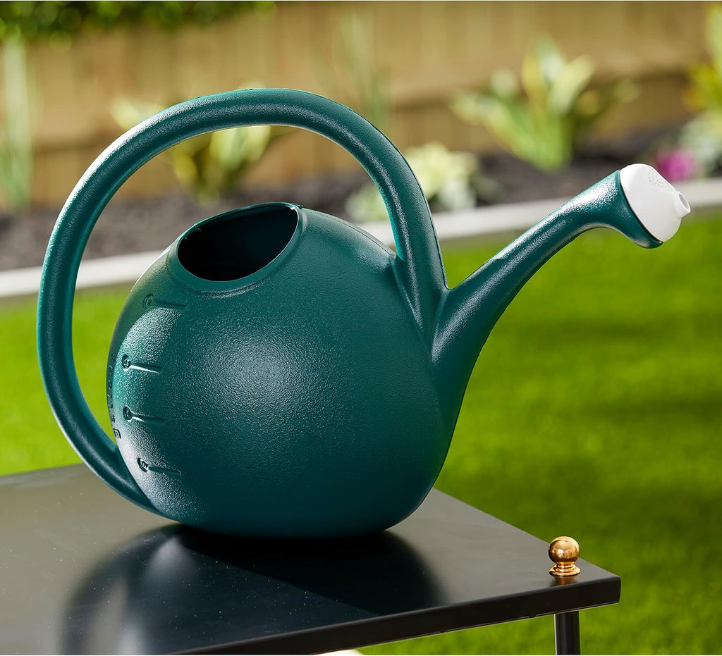 2-Gallon Premium Plastic Rosette Watering Can - The HC Companies 11"x21"x13.75" in Evergreen Color