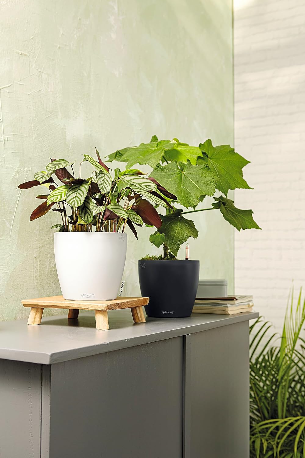 Lechuza Classico Color 28 White, Self-Watering Round Planter, D11 H10.2 in