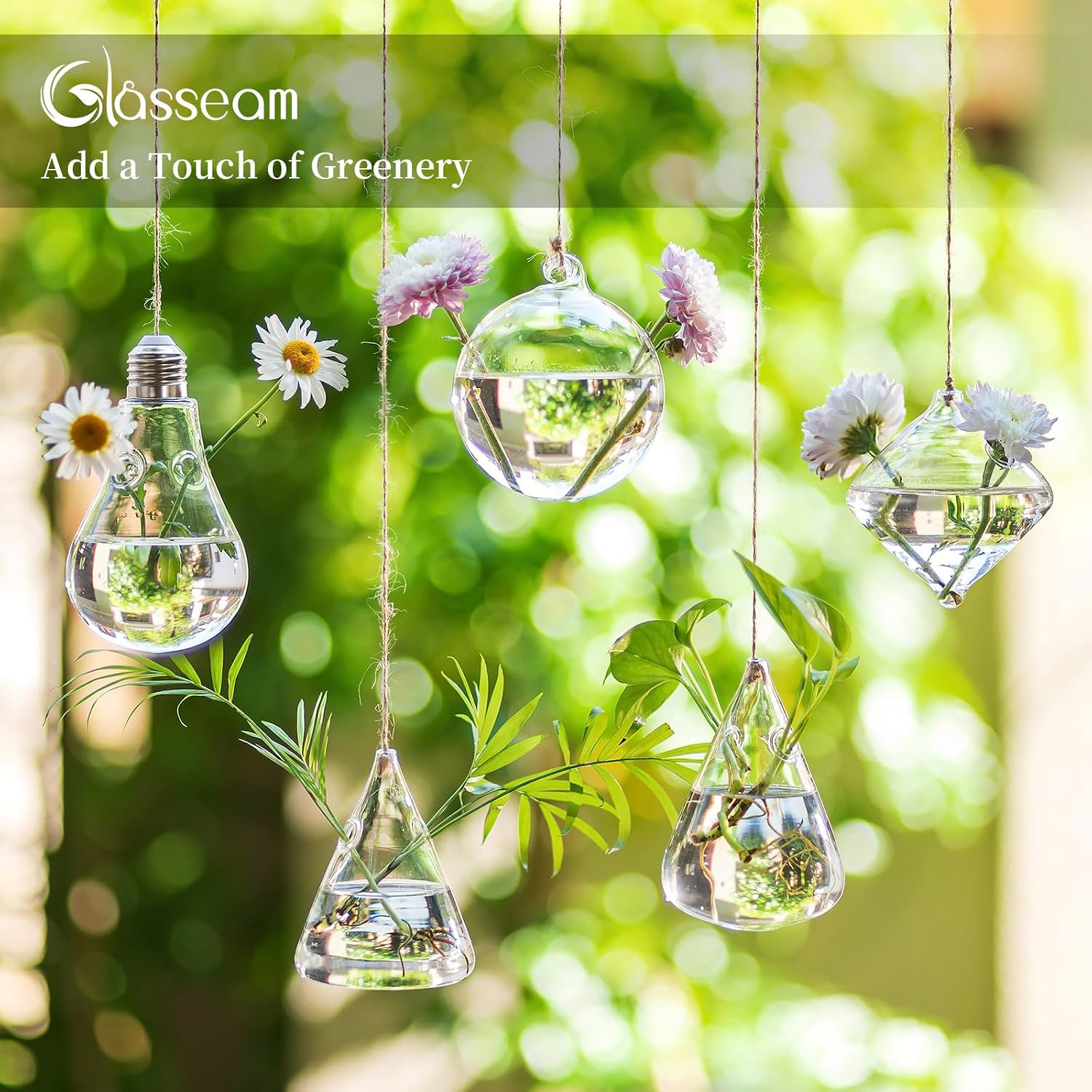 Glasseam Hanging Plant Propagation Station: 5Pcs Small Glass Terrarium Jars | Hydroponic Planters for Indoor Pothos