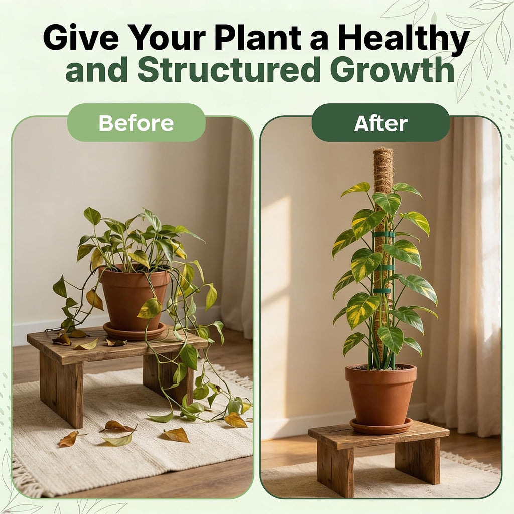 4 Pack 22" Moss Pole Monstera Plant Support - Stackable up to 70" - Plant Stakes for Indoor Climbing Plants Potted