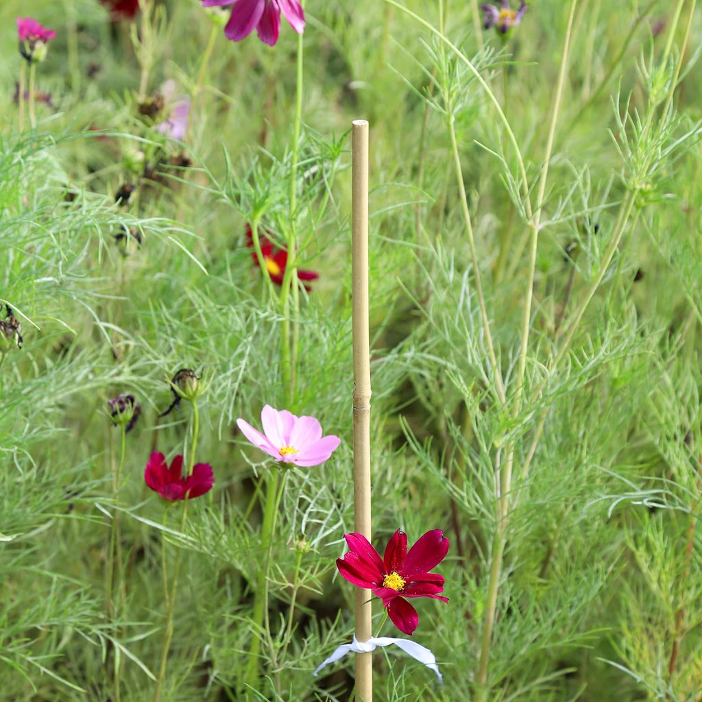 Natural Bamboo Plant Stake, （3FT 30Pcs） Sturdy Bamboo Poles, Durable Plant Bamboo Stake, Garden Climbing Plant Bracket.