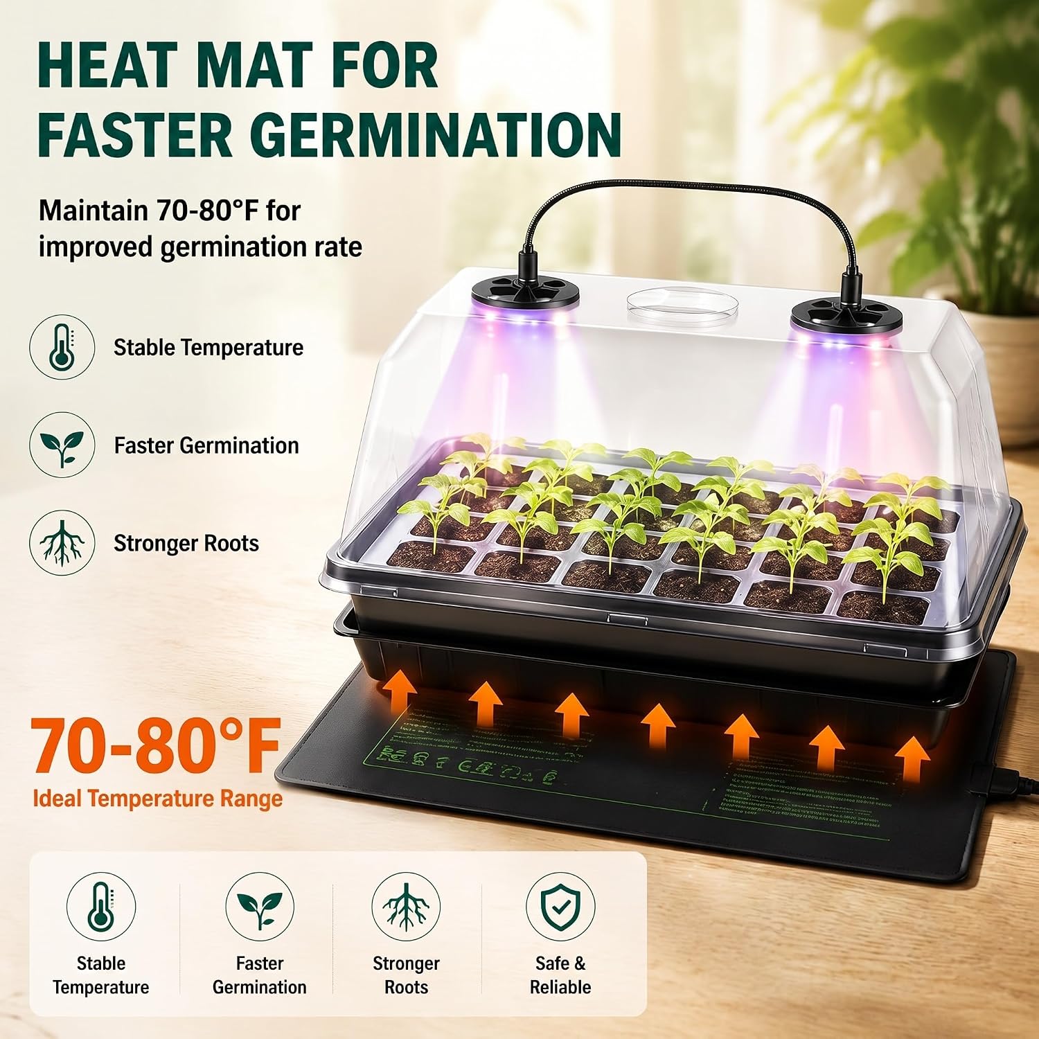 2 Sets 60-Cell Seed Starter Trays with Grow Lights, Heat Mat and Dome | 70-80°F Stable Warmth, Full-Spectrum Lighting