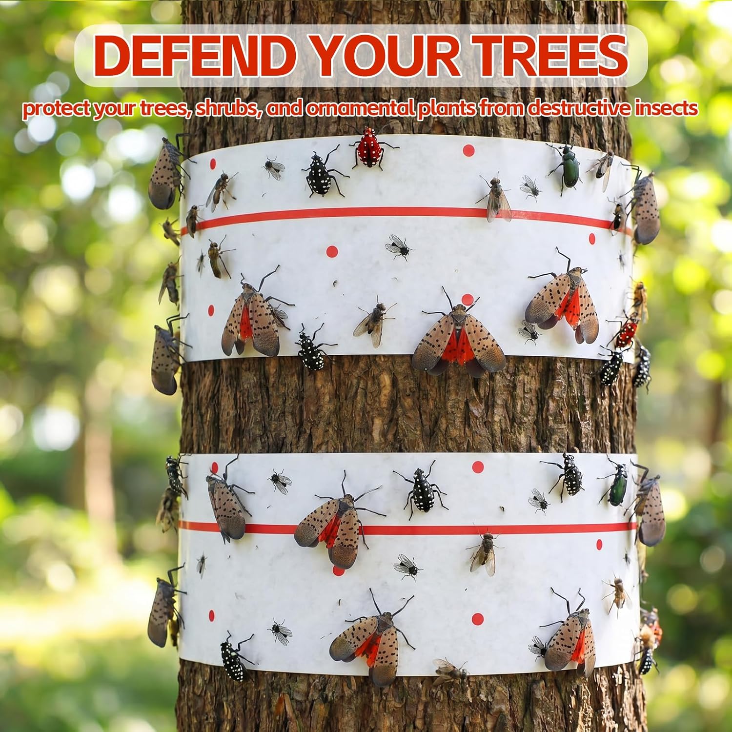 12 Rolls Spotted Lantern Fly Tree Trap 30 Feet Each Roll Lanternfly Tree Outdoor Fruit Fly Sticky Strips Paper Insect