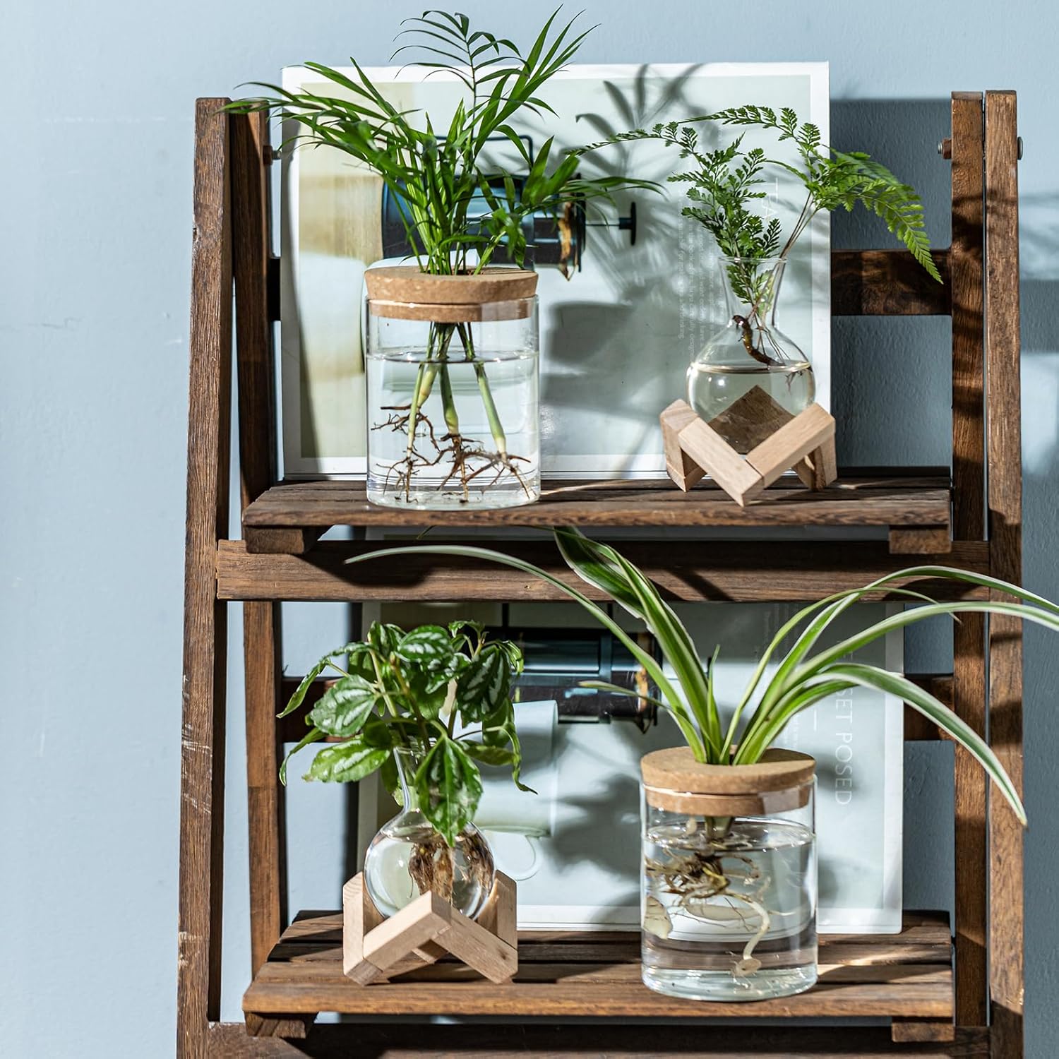 Plant Propagation Station, 2 Style Glass Planter Terrarium Set for Hydroponic Plants | Home Office Tabletop Decor