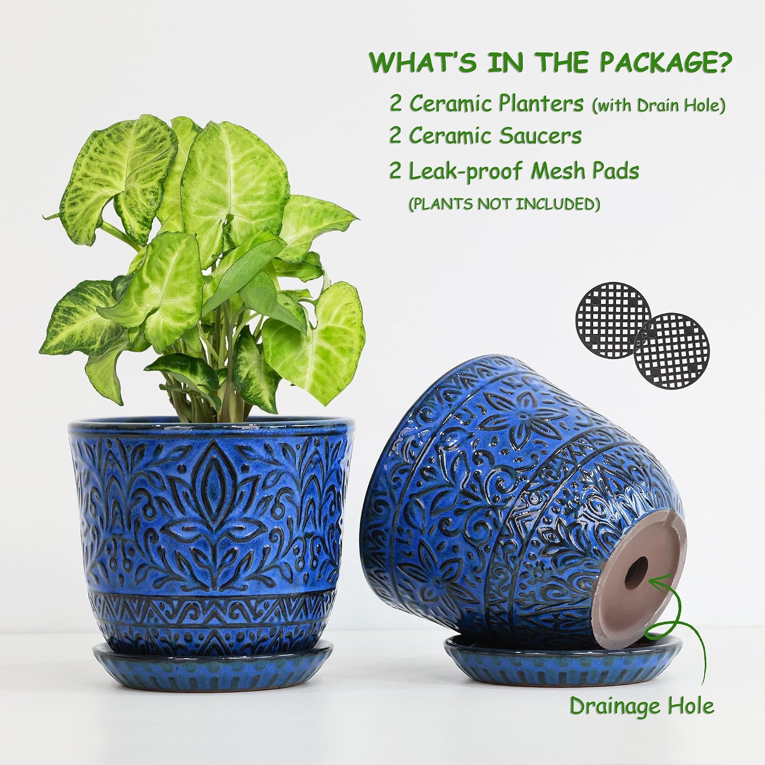 Gepege Ceramic Plant Pots, 6 Inch Indoor Planters with Drainage & Saucers | Ceramic pots for plants with drainage