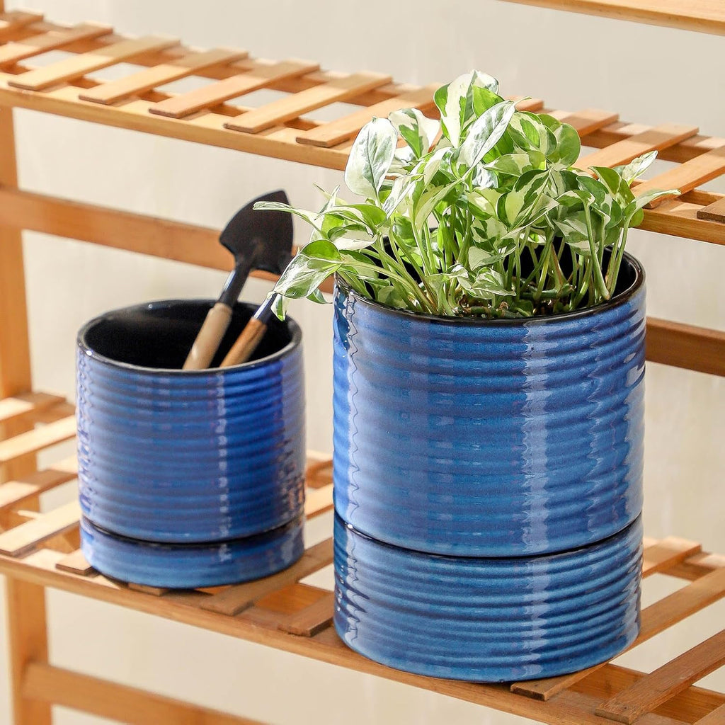 HASENSE Ceramic Self Watering Pots for Indoor Plant, 6 Inch Planter with Drainage Hole & Water Storage Saucer for