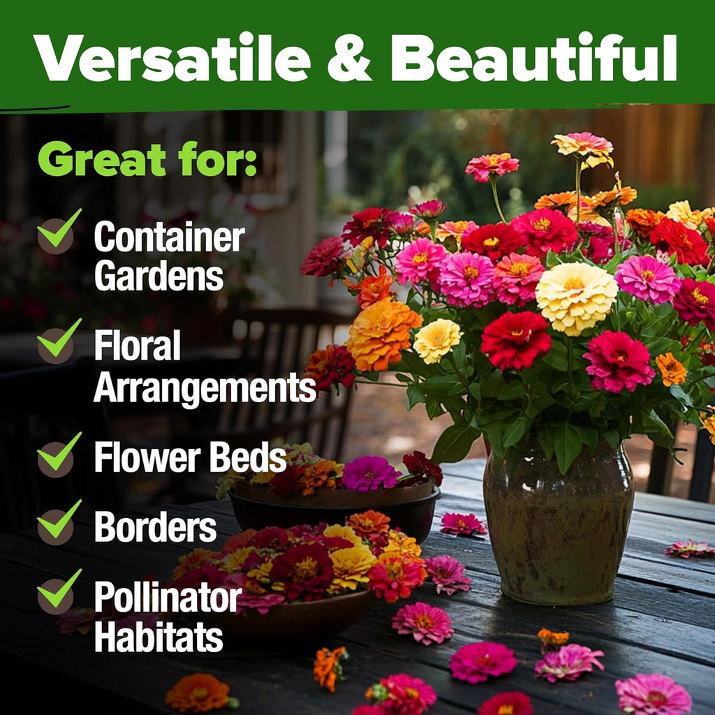 HOME GROWN Zinnia Seeds for 2026 - California Giant Mix - 14,600+ (4 oz) Plant Wildflower Blooms Bulk Seeds for
