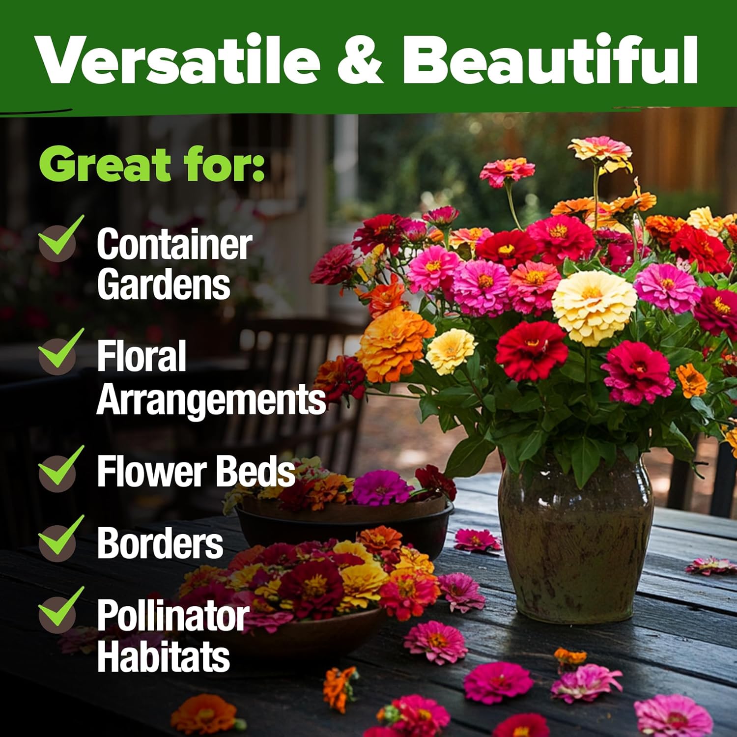 HOME GROWN Zinnia Seeds for 2026 - California Giant Mix - 14,600+ (4 oz) Plant Wildflower Blooms Bulk Seeds for