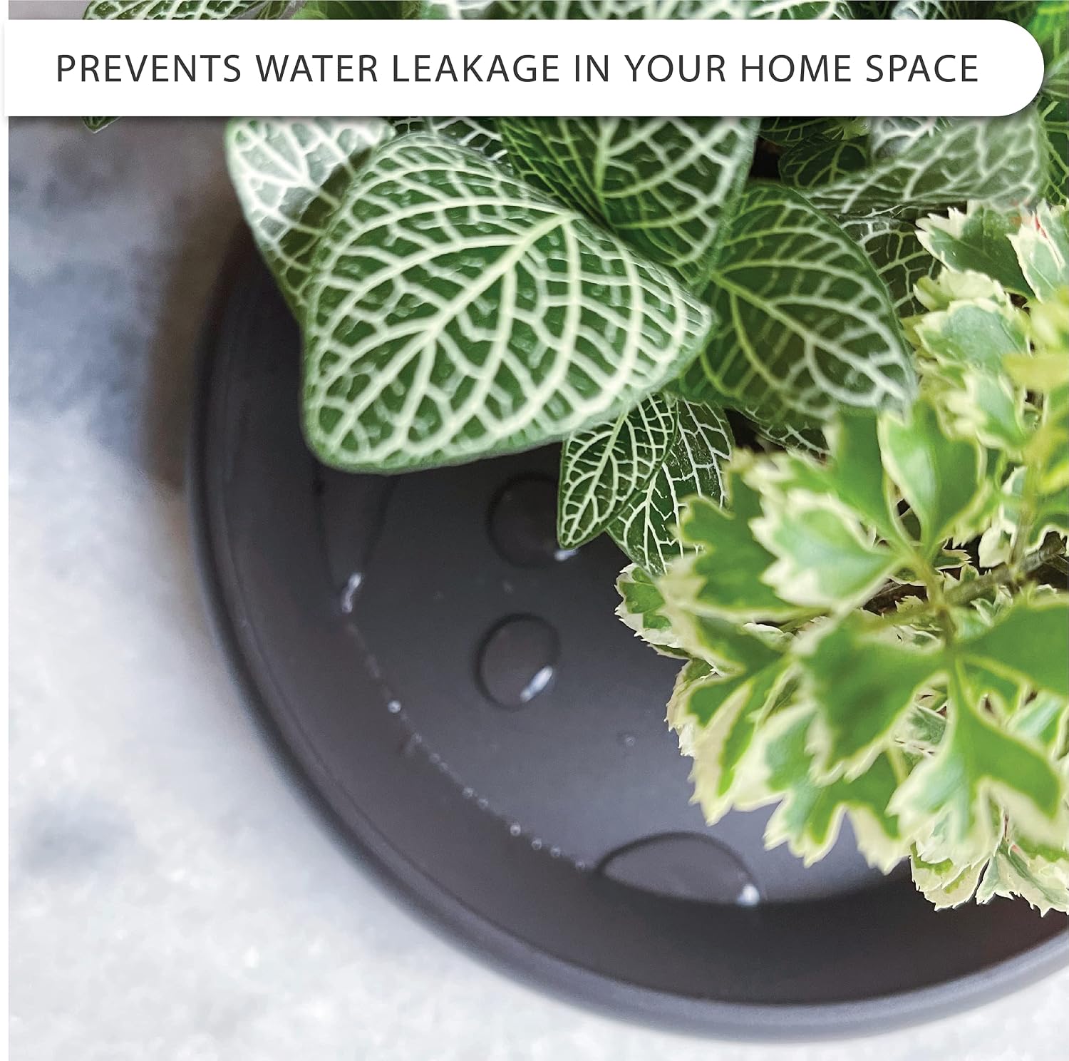 Plant Saucer 6 Pack Drip Trays Planter Pot Base Heavy Duty Plastic Drainage Tray for Indoor Houseplants Outdoor Garden