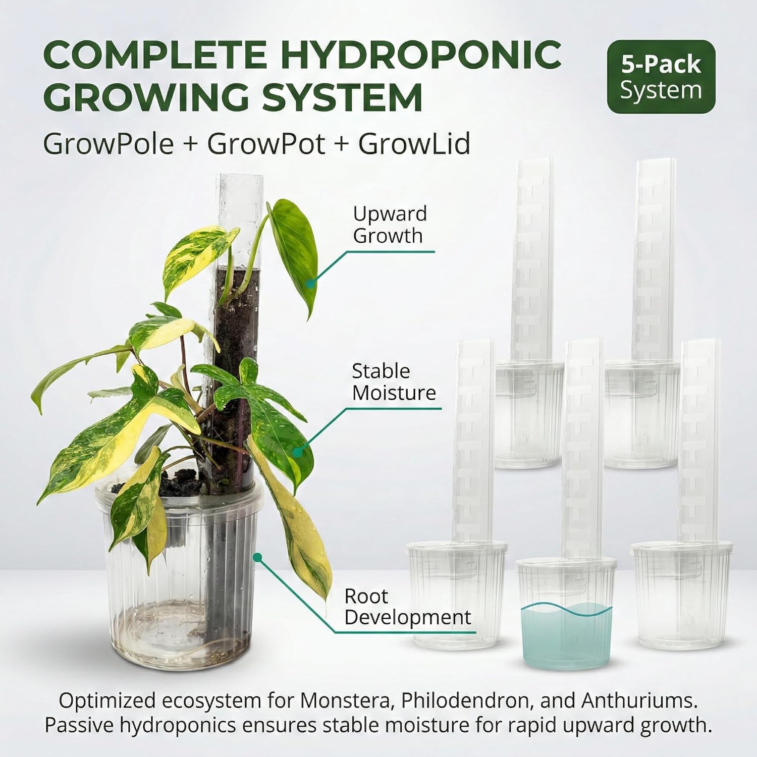 THICCLY Small GrowLid 10 Pcs (Clear) - Self Watering Clear D-Shaped Plastic Moss Pole Hydroponics Growing System Kratky