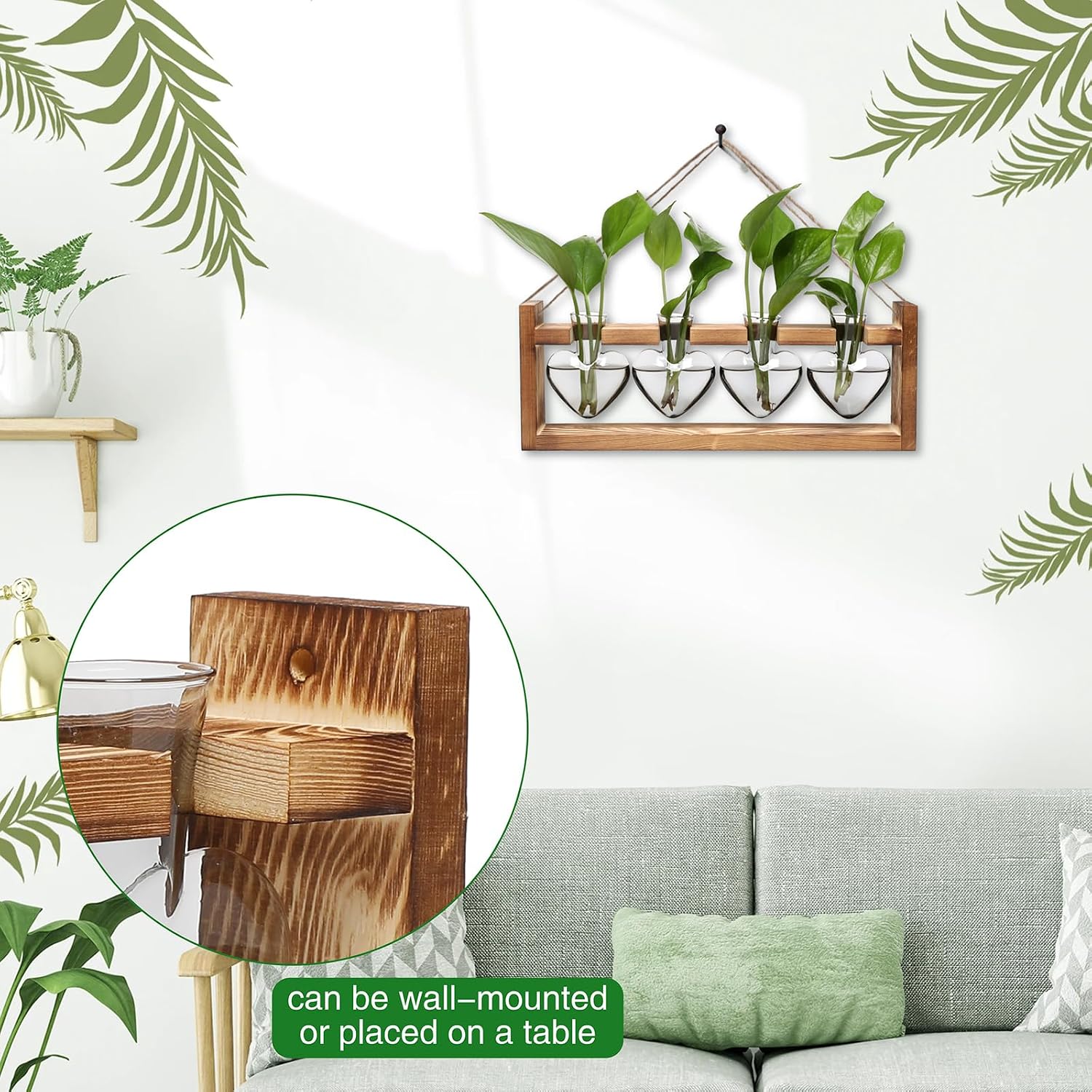 Plant Propagation Stations Heart Plant Terrarium Kit | Gift for Women Plant Lover Glass Vases