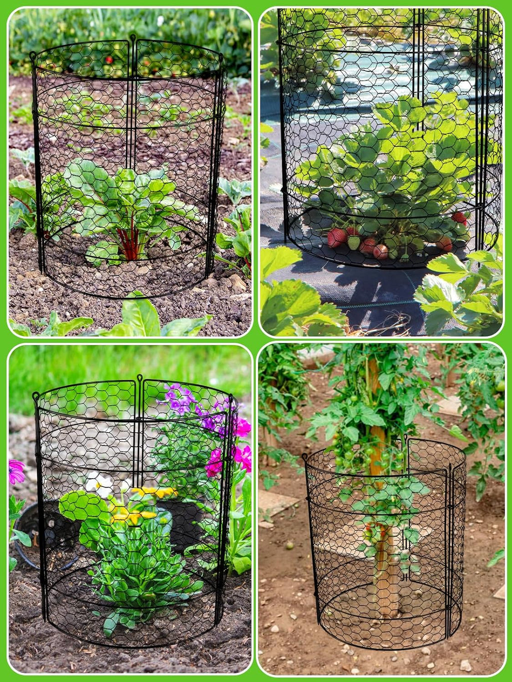Kalolary 10 Packs Plant Protectors from Animal 20" x 14" Wire Plant Cage | Metal Garden Plant Protection Chicken Wire