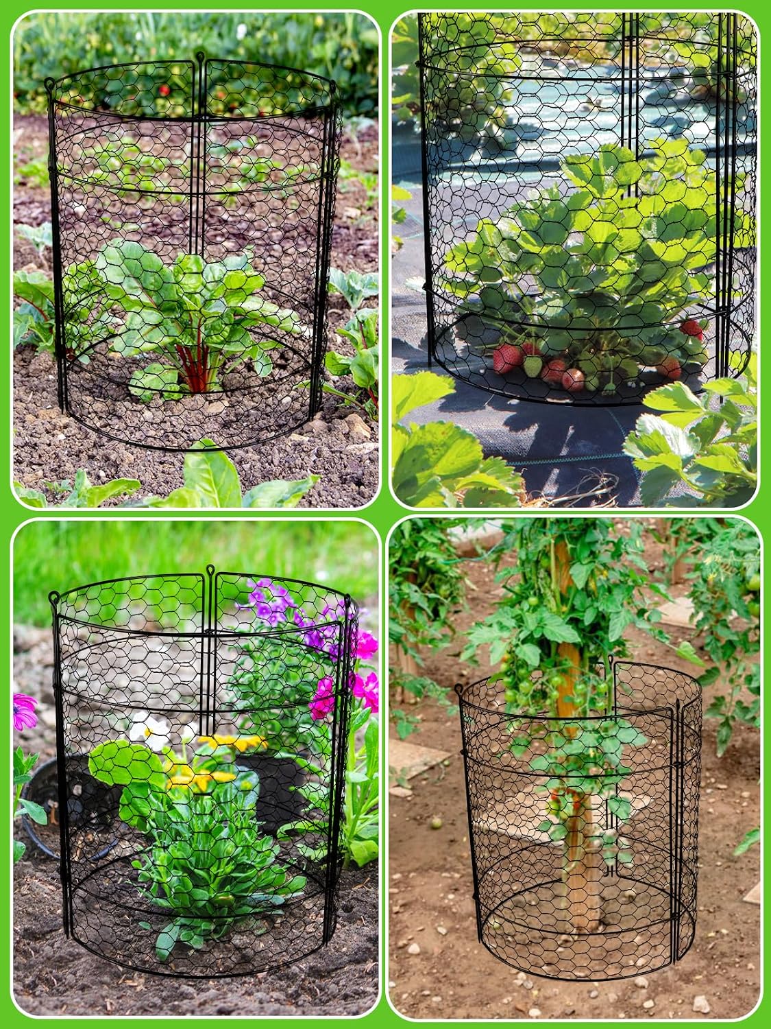 Kalolary 10 Packs Plant Protectors from Animal 20" x 14" Wire Plant Cage | Metal Garden Plant Protection Chicken Wire