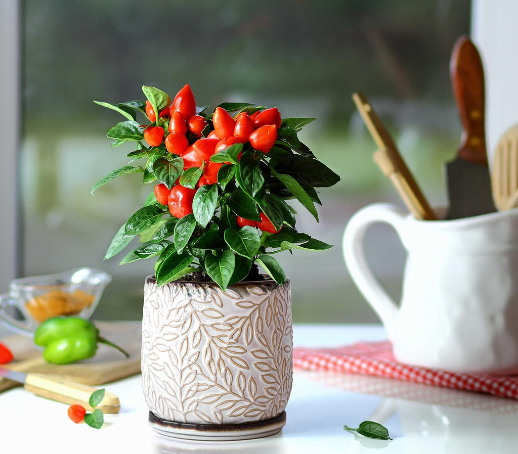 D'vine Dev Embossed Leaves Ceramic Planter, 5 in, Smoked White, 27-A-V-1 | Nature-Inspired Leaf Pattern, Handcrafted