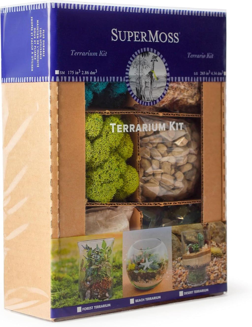 SuperMoss (90420) Beach Terrarium DIY Kit – Create Stunning Nature-Inspired Mini Gardens – Perfect for Home Decor