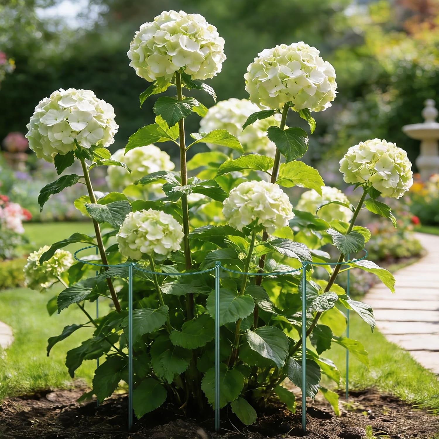 Unves 10 Pack Peony Cages and Supports, 13" W x 32" H Plant Support Stakes | Metal Peony Cage, Heavy-Duty Half Round
