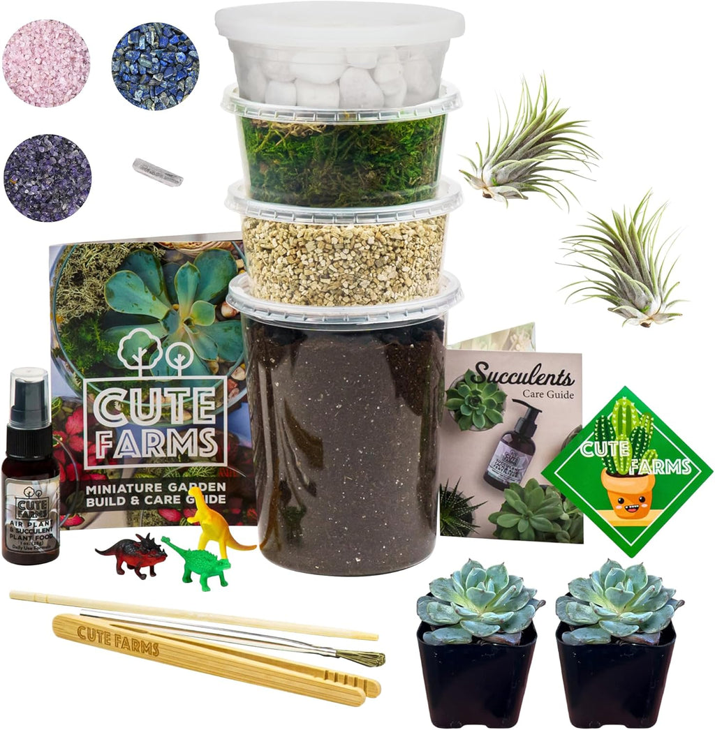 Terrarium Starter Kit | Moss, Vermiculite, Soil, Pebbles, Plant Food, & Finishing Tools (Large Kit + Live Plants +
