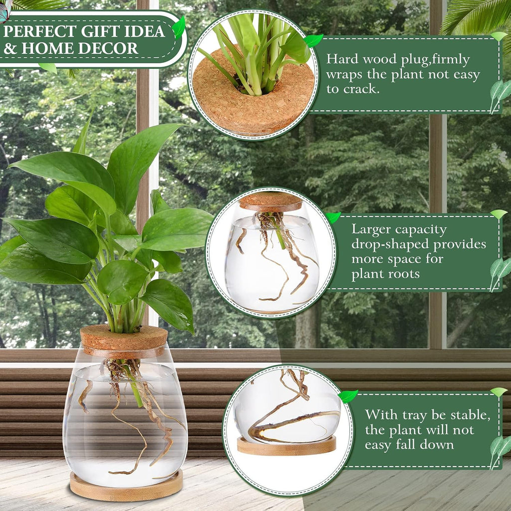 Nuanchu 4 Pcs Desktop Plant Terrarium Plant Propagation Vase Propagation Jars Glass Containers Air Planter Water