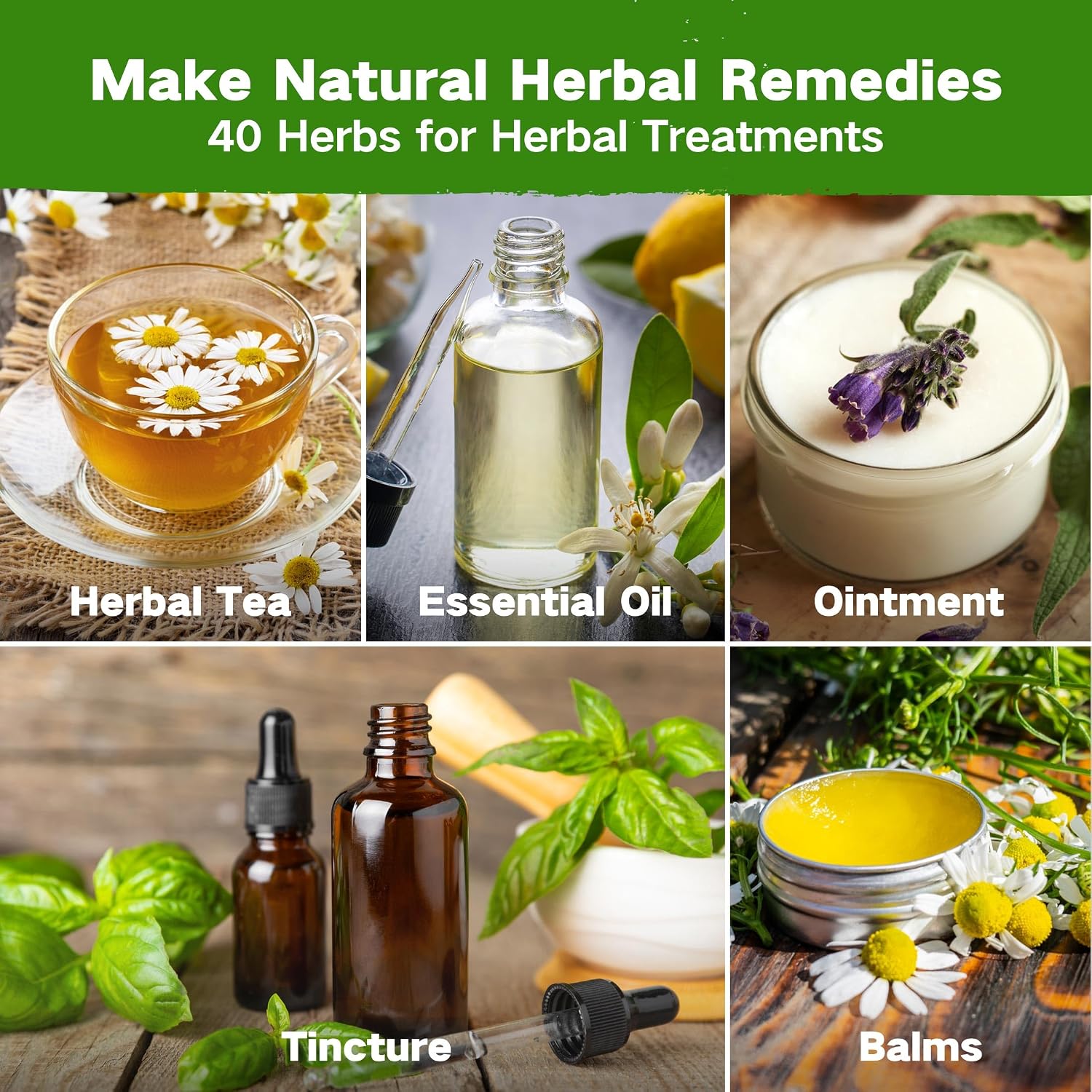 Lush&Dew Ancestral Apothecary Medicinal Tea Herb Seed Chest, Gardening Gift | 36,000+ Non-GMO Survival Seed Kit, Gifts