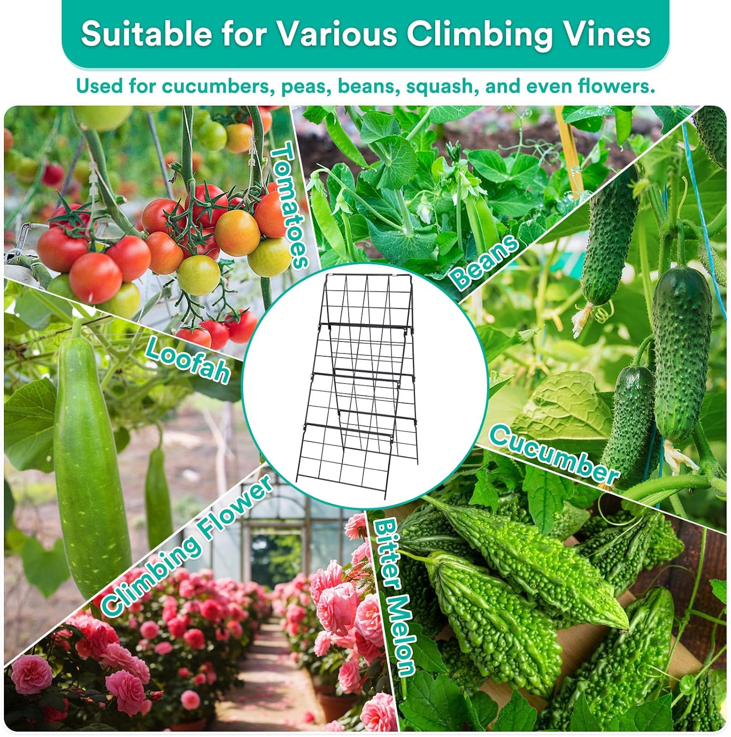 2Packs 17 x 42 Inch Garden Trellis for Raised Beds Foldable Climbing Plant Support Cucumber Trellis Outdoor A-Frame