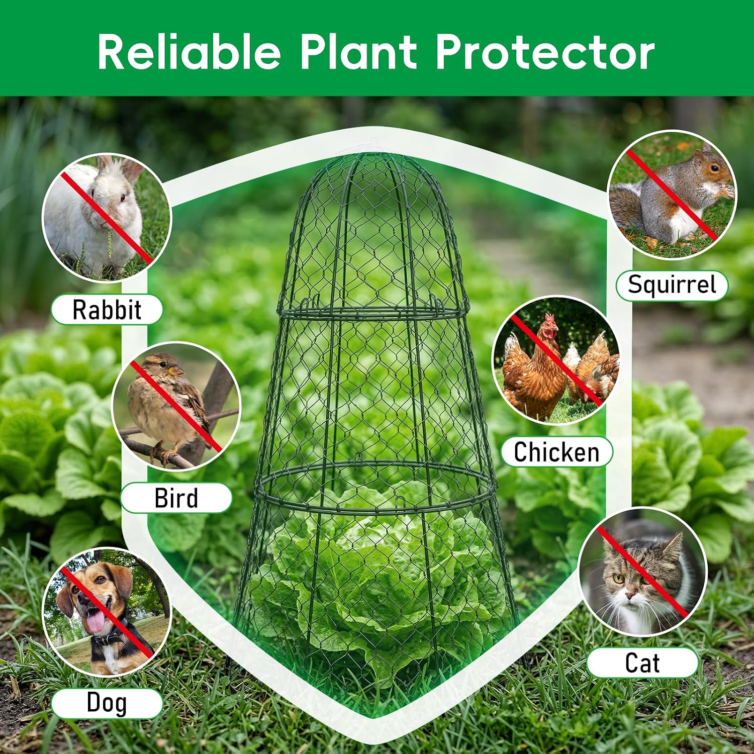 SPECILITE 6 Pack 14"×14"×20" Garden Cloches for Plants with 3 Split Design | Rustproof, with Ground Stakes, Sturdy
