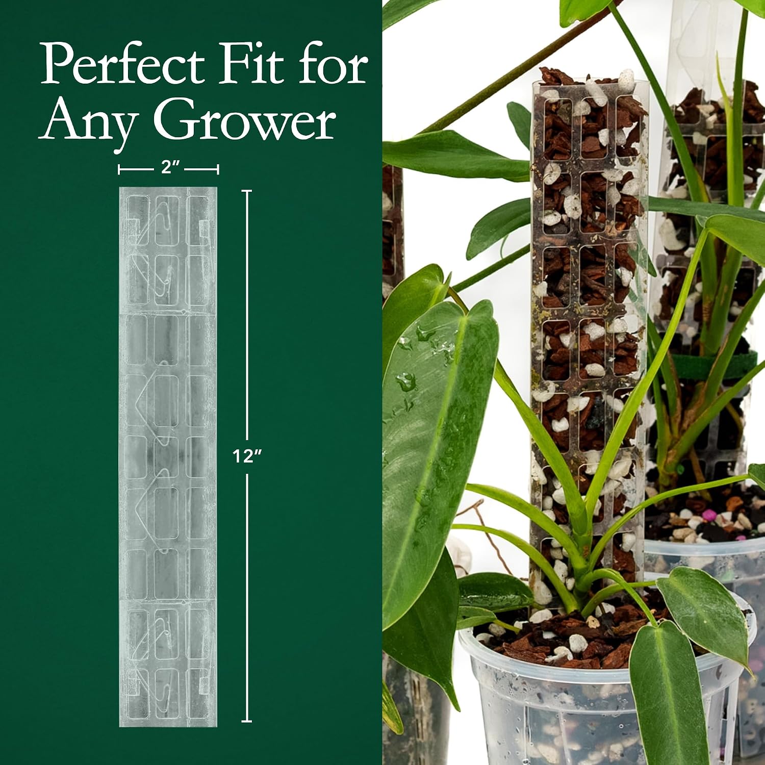 V2 GrowPole Small 10 Pcs – Original D-Shape Moss Pole for Climbing Plants, Moisture-Locking Closed Back, Stackable