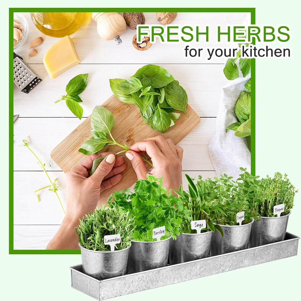 FoldTier 2 Sets Indoor Herb Garden Planter Kit with 10 Metal Pots, Silver | Metal Pots with Drainage Holes, Plant