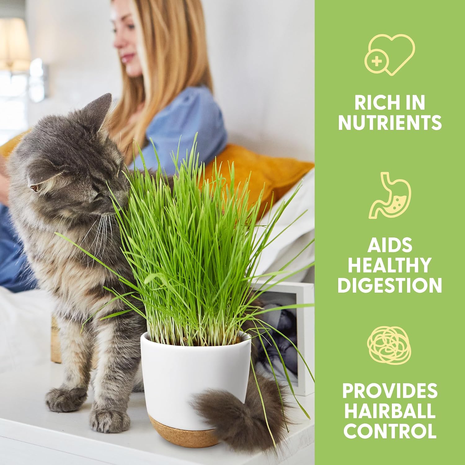 The Cat Ladies Cat Grass for Indoor Cats Kit with Organic Cat Grass Seed Mix, Soil and Ceramic & Cork Planter, Natural