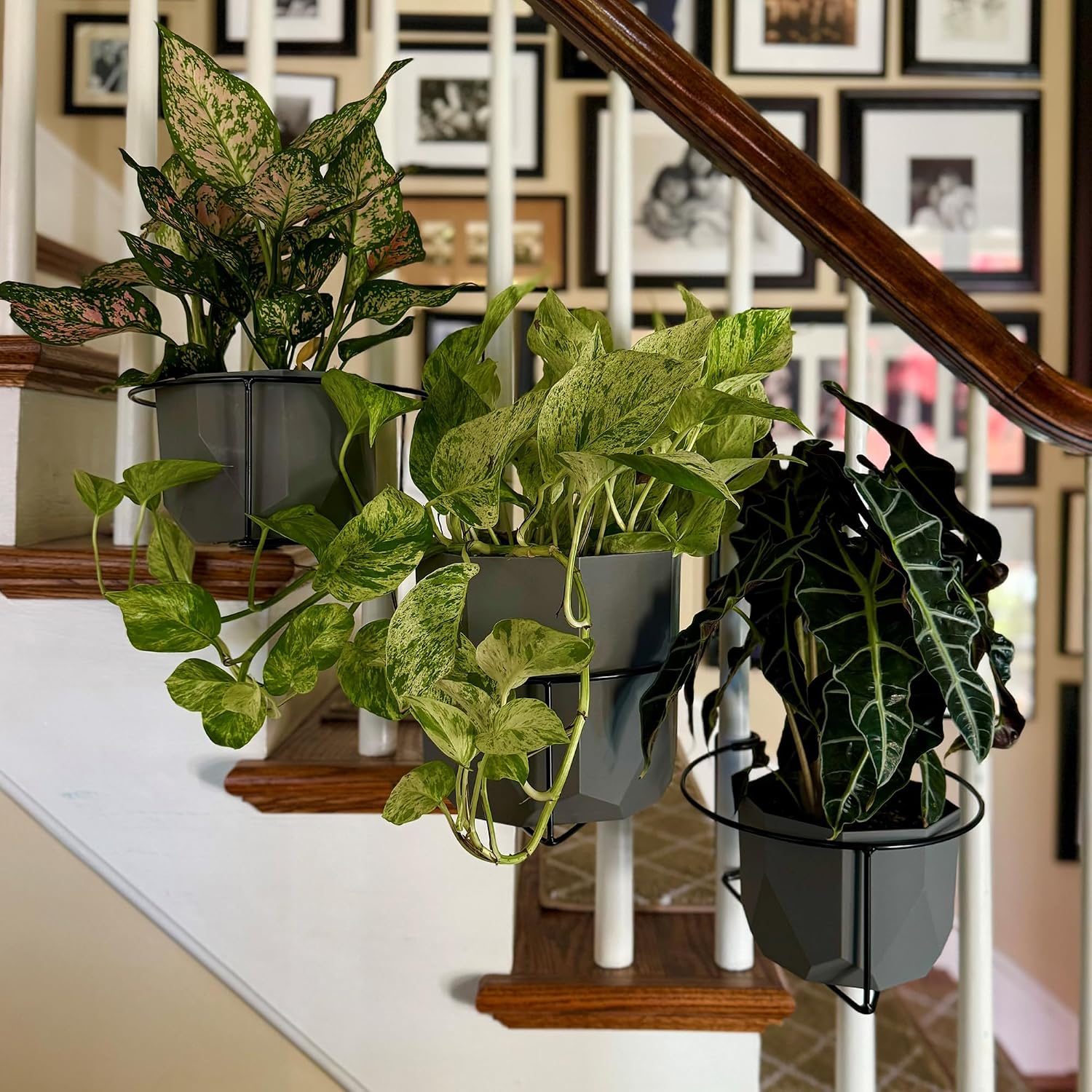 Bloem RailScapes Adjustable Floating Planter Hanger, Fits 0.5”-0.75” Balcony Railing Spindles, 3-Pack