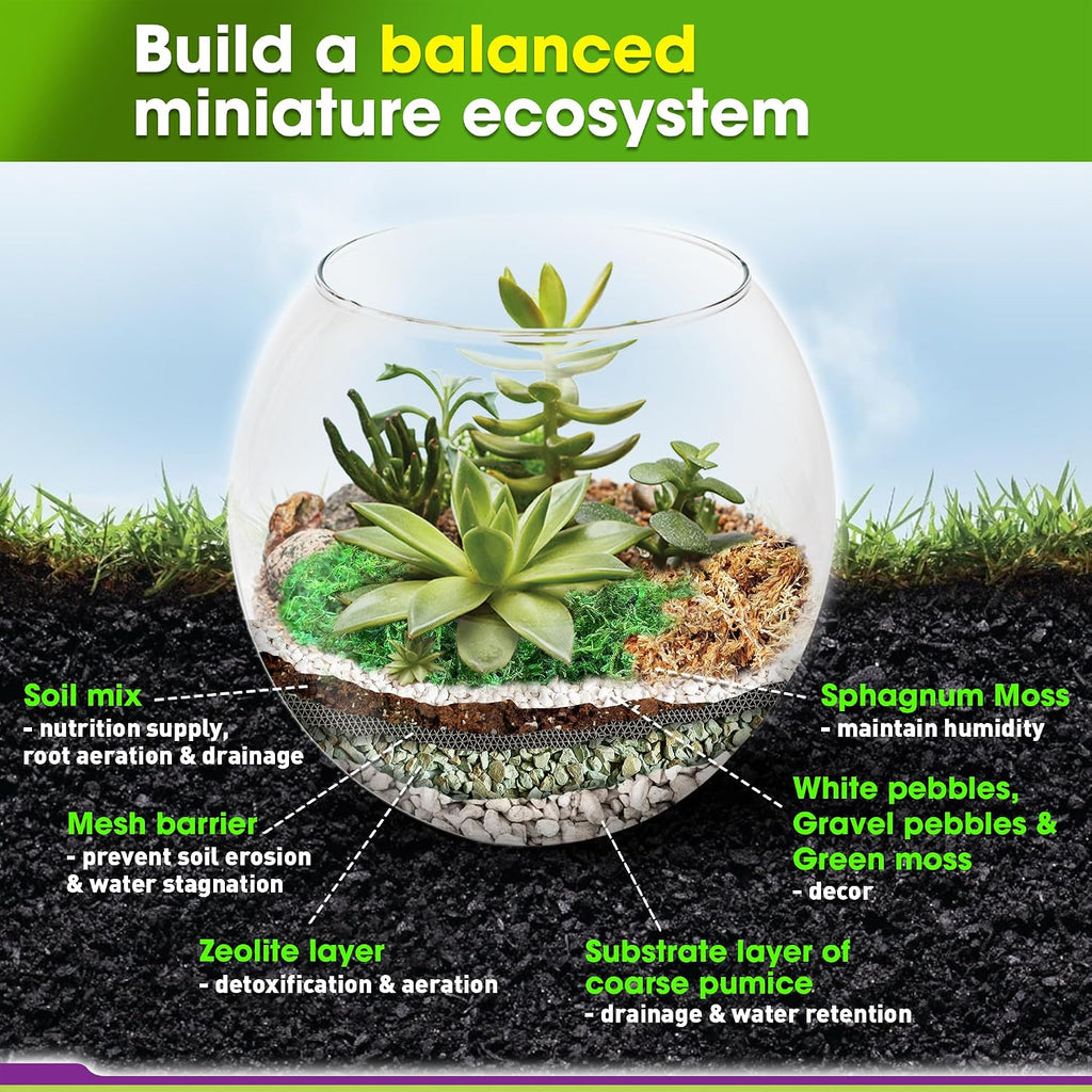 All-in-One DIY Terrarium Starter Kit for Air Plant & Succulent | Includes Potting Soil, Pumice, Zeolite, Green Moss
