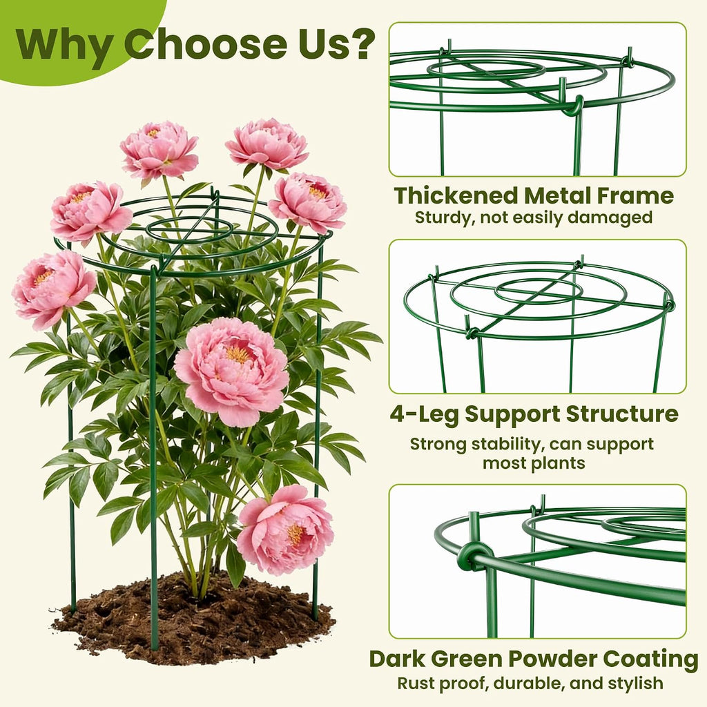 6 Pack Peony Cages and Supports, 12" x 24" Tall Peonies Support Cage | Heavy Duty Metal Peony Stakes and Supports for