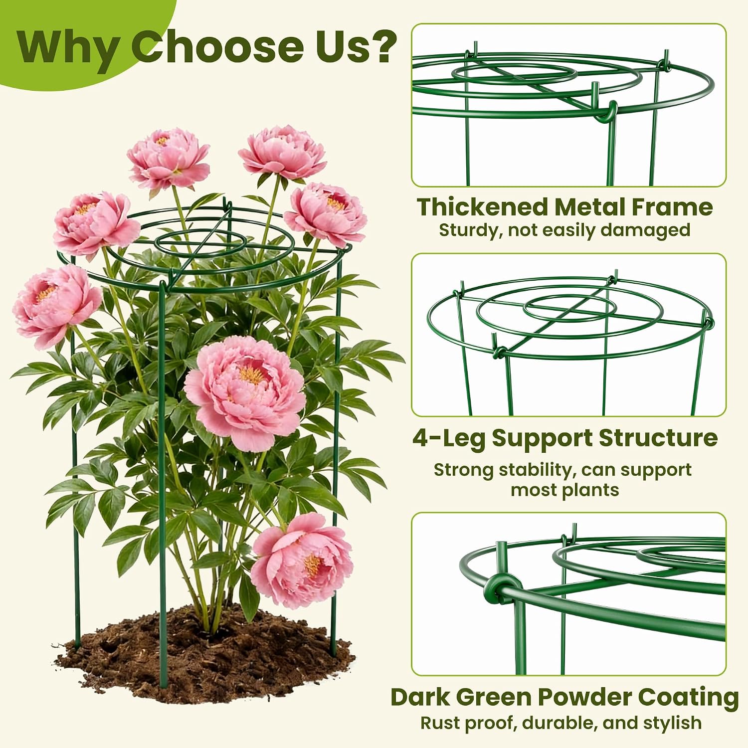 6 Pack Peony Cages and Supports, 12" x 24" Tall Peonies Support Cage | Heavy Duty Metal Peony Stakes and Supports for