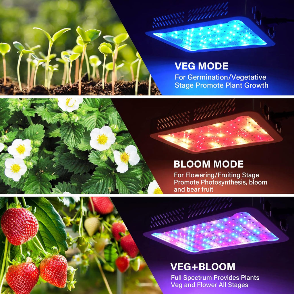 Beelux 1000w LED Grow Light for Indoor Plants Full Spectrum, Upgrade Dual Chips and Dual Switch Plant Grow Lights for