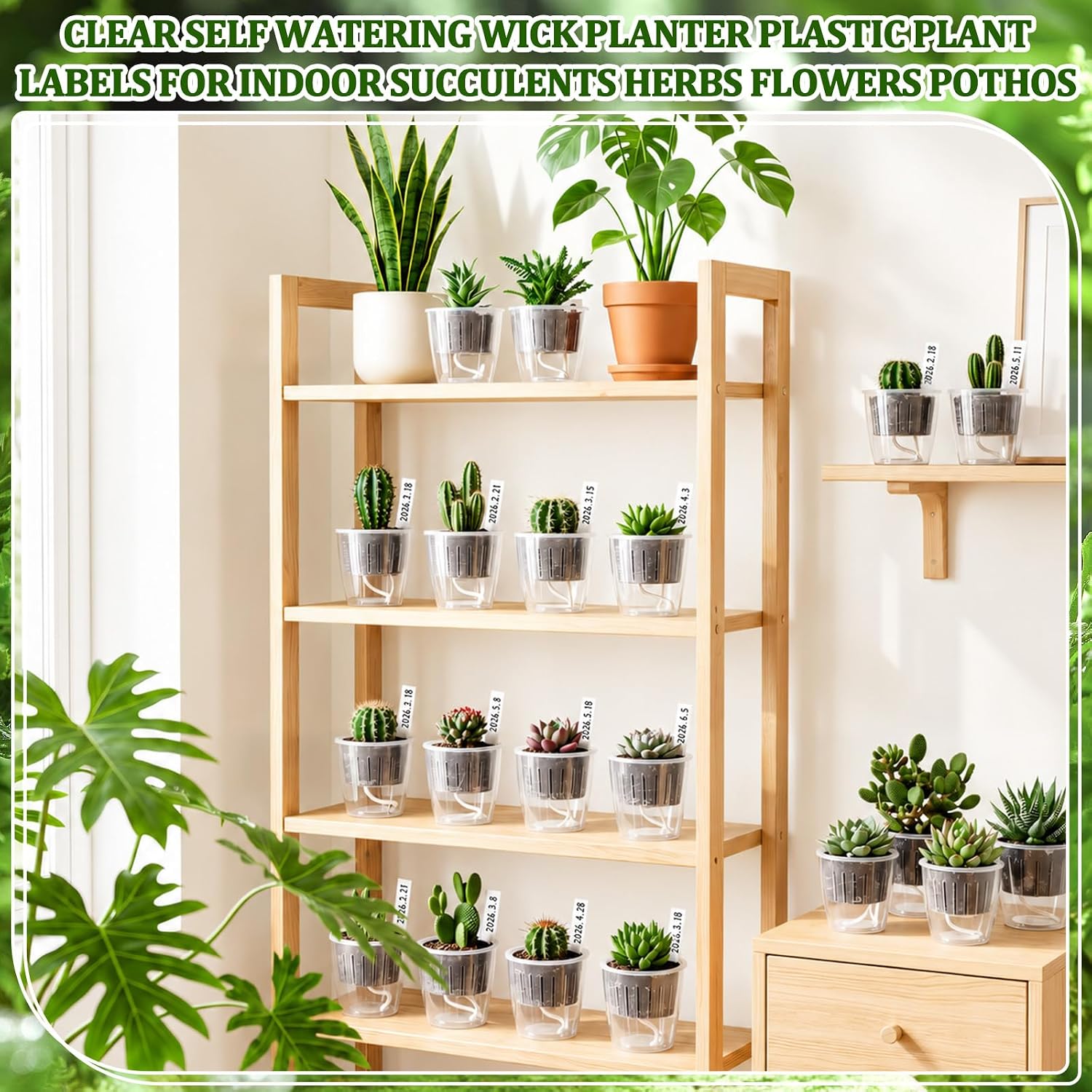 24 pcs Self Watering Pots 3.5 Inch Plastic Flower Plant Pot with Inner Pot Self Watering Wick Planter Clear Flower pots