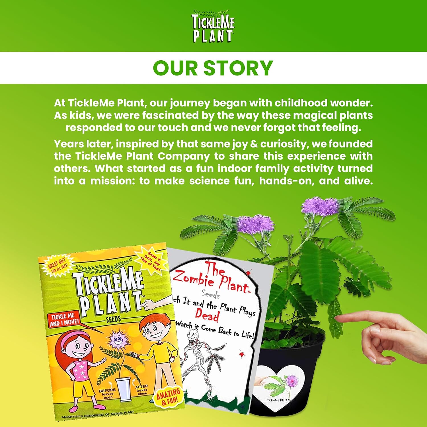 Deluxe Family Greenhouse Kit - Grow the Playful Plant that Closes Its Leaves When Tickled! Includes Mini Greenhouse, 3