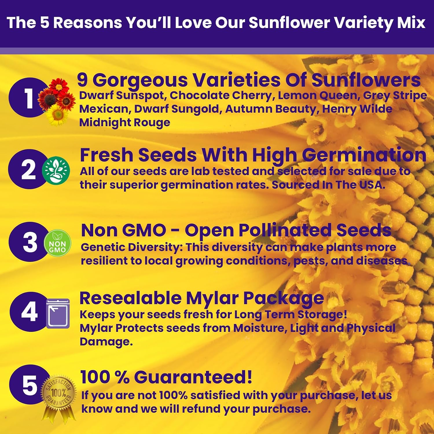 NatureZ Edge 5200+ Sunflower Seeds for Planting Bulk Variety Pack, Get More Sunflower Seeds to Plant, from Dwarf