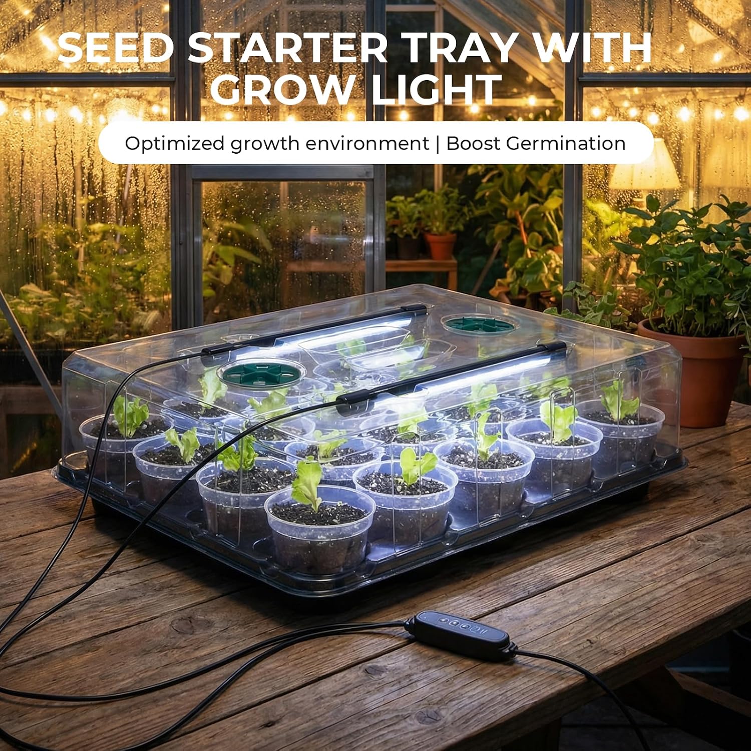 2 Pack Seed Starter Trays with Grow Lights and 40 3 Inch Pots | Includes 2 humidity domes and 40 clear 3-inch drainage