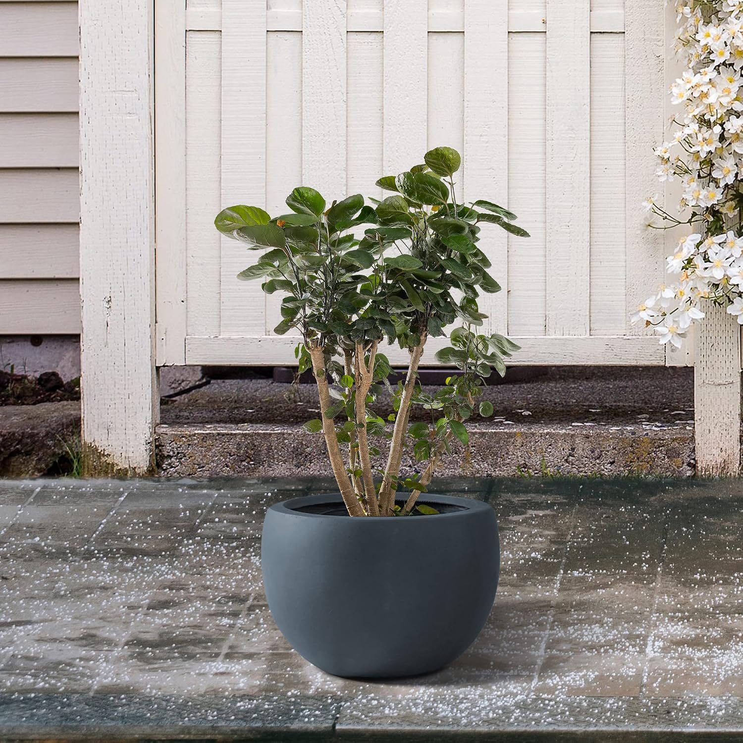 Kante Small Round Bowl Charcoal Concrete Planter 11.8" Dia, Outdoor | Rubber Plug for Indoor, Drainage for Garden