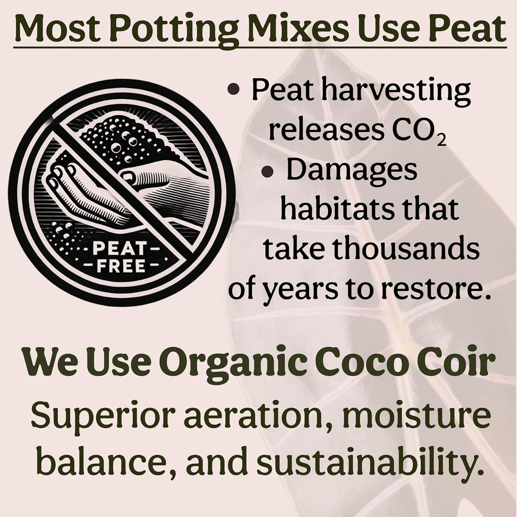 Craft Houseplant Potting Mix, Elite House Plant Soil, Chunky, Well Draining Potting Soil for Indoor Plants, Tropical