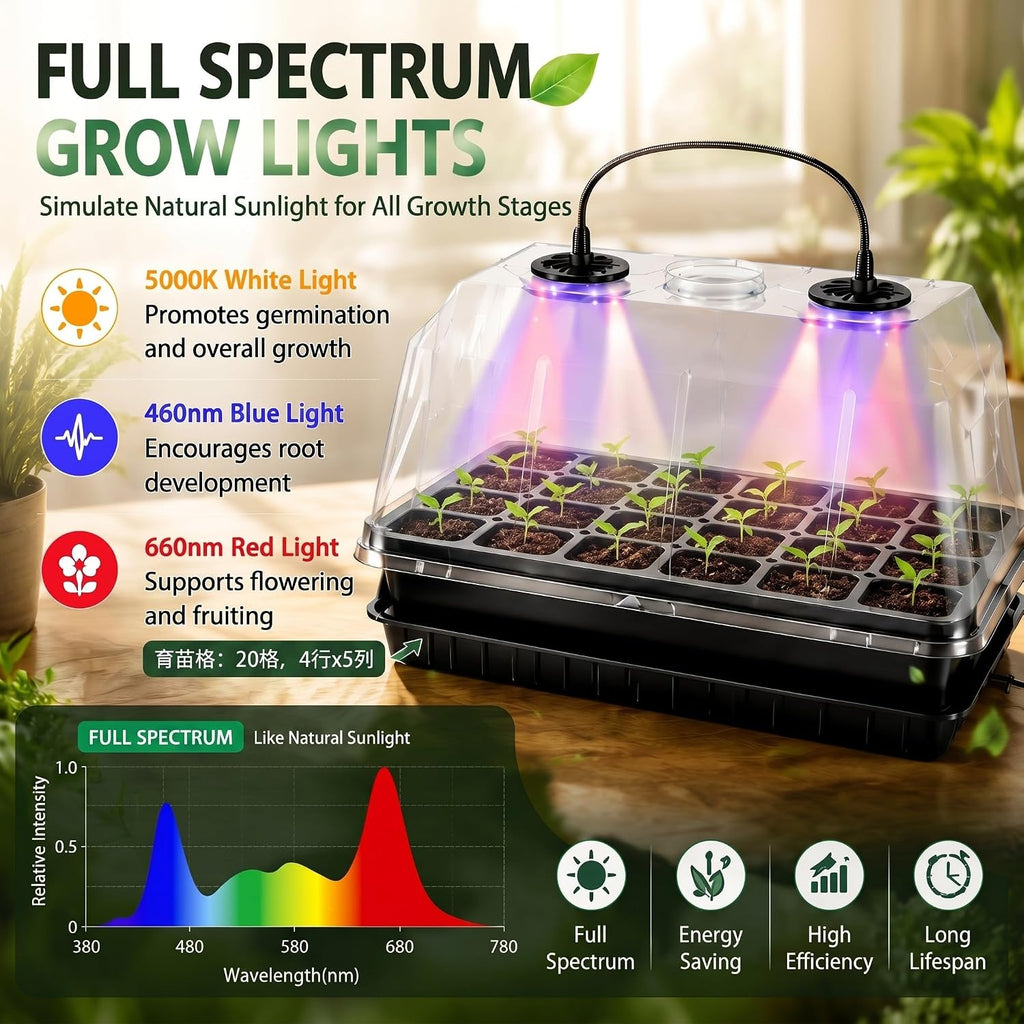 2 Sets 60-Cell Seed Starter Trays with Grow Lights, Heat Mat and Dome | 70-80°F Stable Warmth, Full-Spectrum Lighting