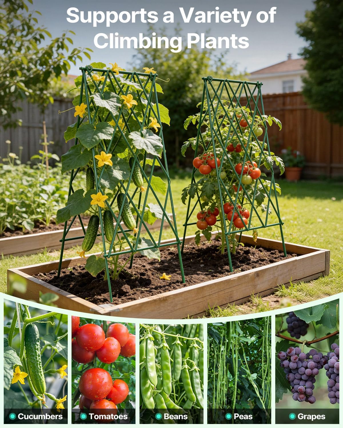 Suteck Cucumber Trellis 39.2" 2 Pack A-Frame, Foldable Metal | Garden Trellis for Cucumbers, Peas, Beans & Climbing