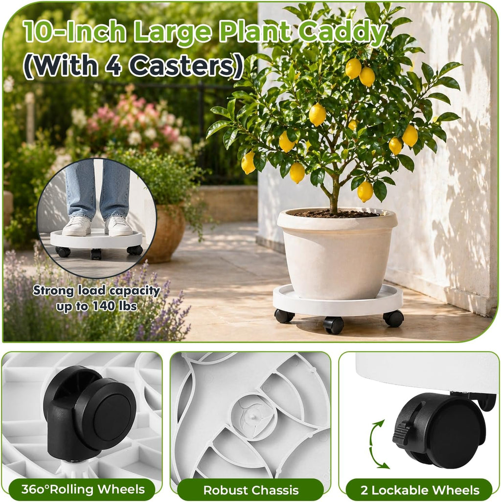 5 Pack Plant Caddy with Wheels Rolling Plant Stand with Wheels 10 Inch Plant Dolly Heavy Duty Large Potted Plant Mover