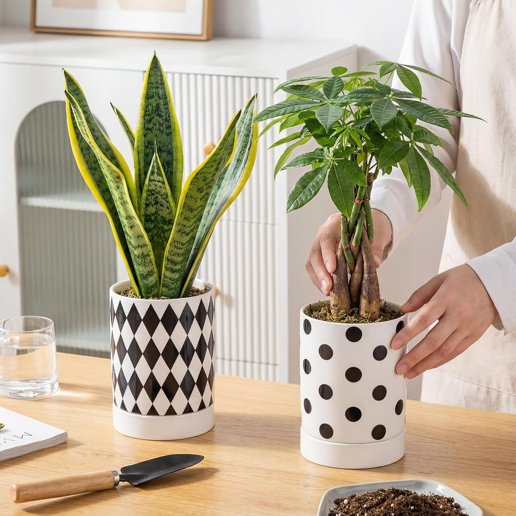 Ceramic Plant Pots Set of 2, 6 Inch Flower Pots with Drainage Hole Modern Polka Dot Diamond Planter for Indoor Outdoor