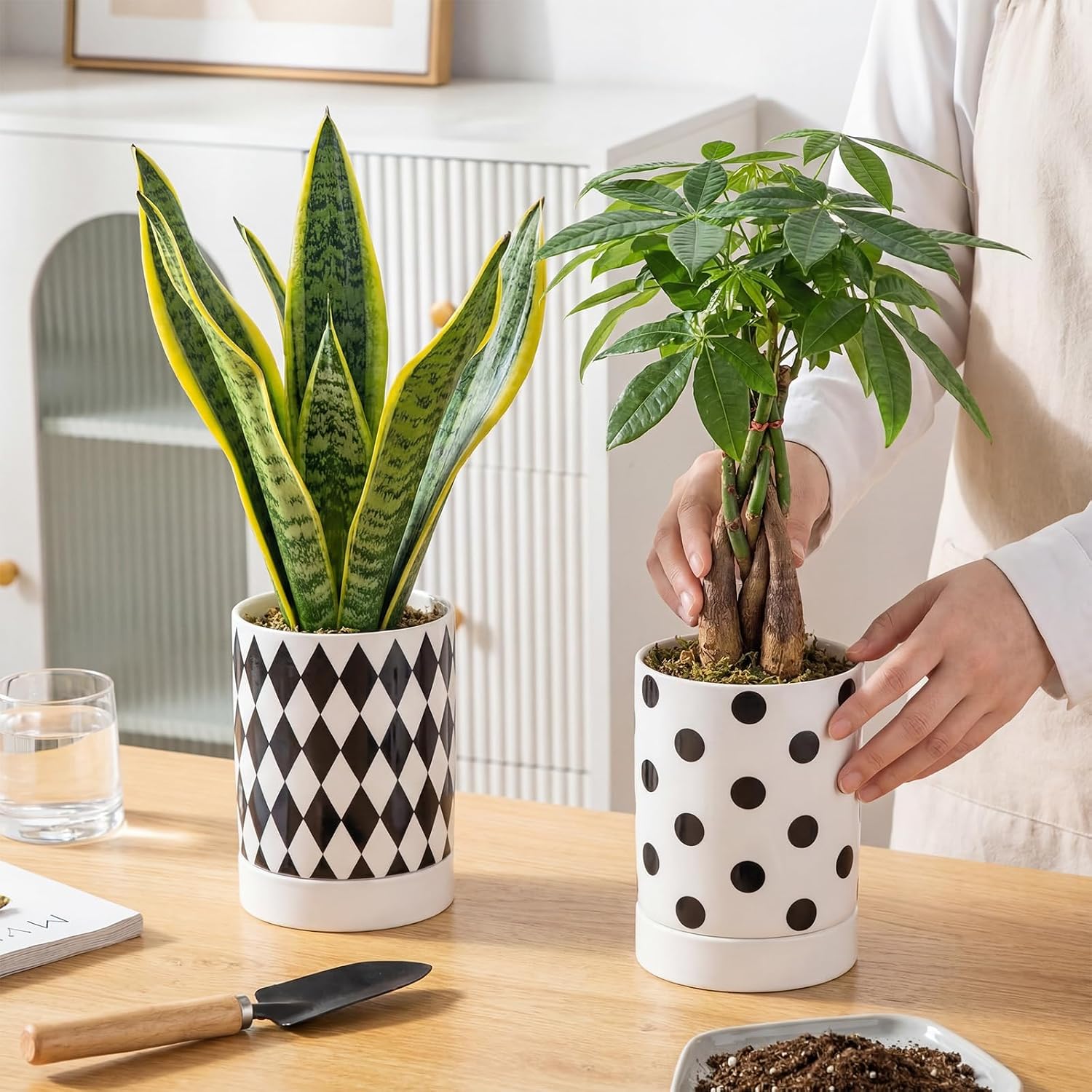 Ceramic Plant Pots Set of 2, 6 Inch Flower Pots with Drainage Hole Modern Polka Dot Diamond Planter for Indoor Outdoor