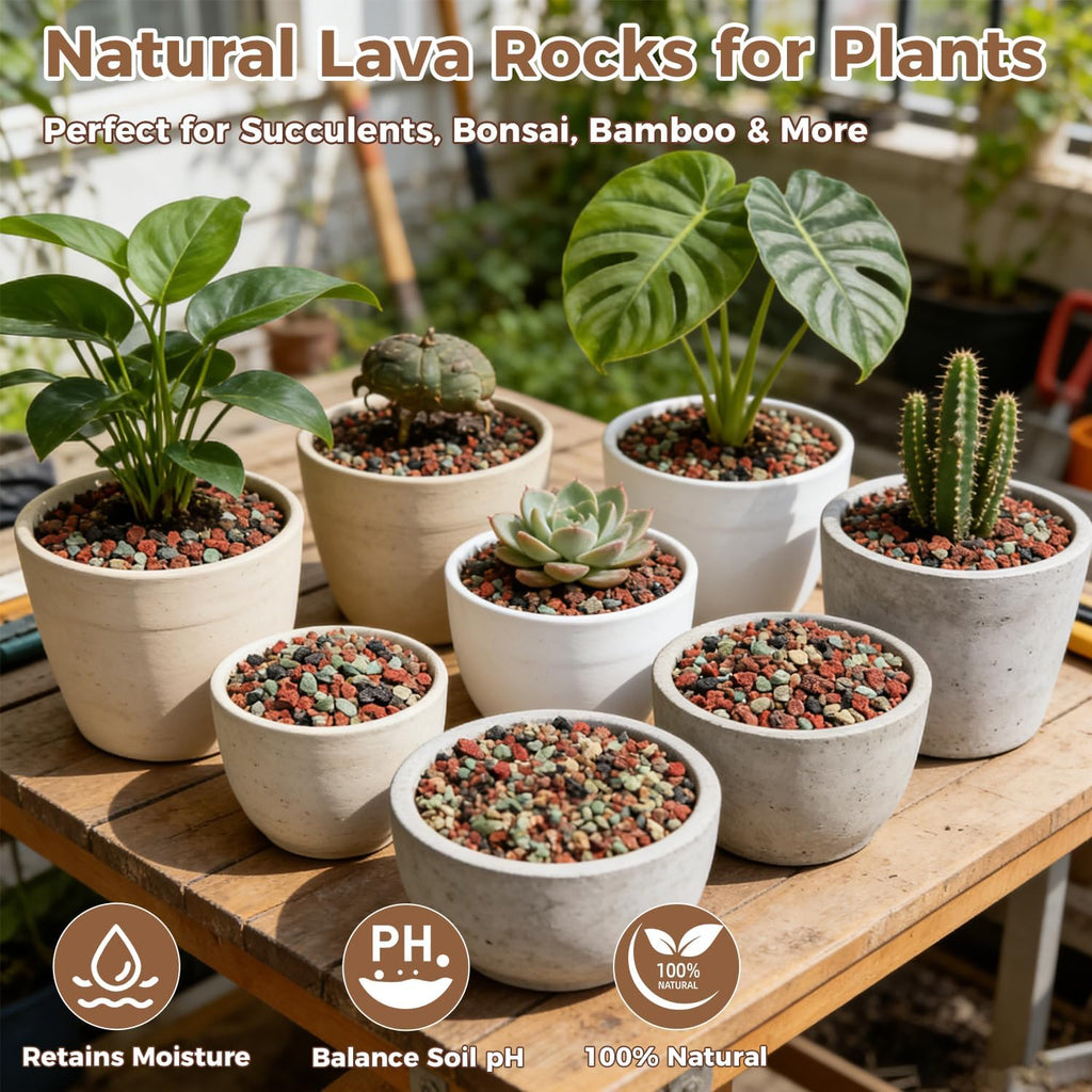 18lb Mix Lava Rocks for Plants 1/4" Horticultural Pumice for Plants, Succulent Cactus Soil Potting Mix - Horticultural