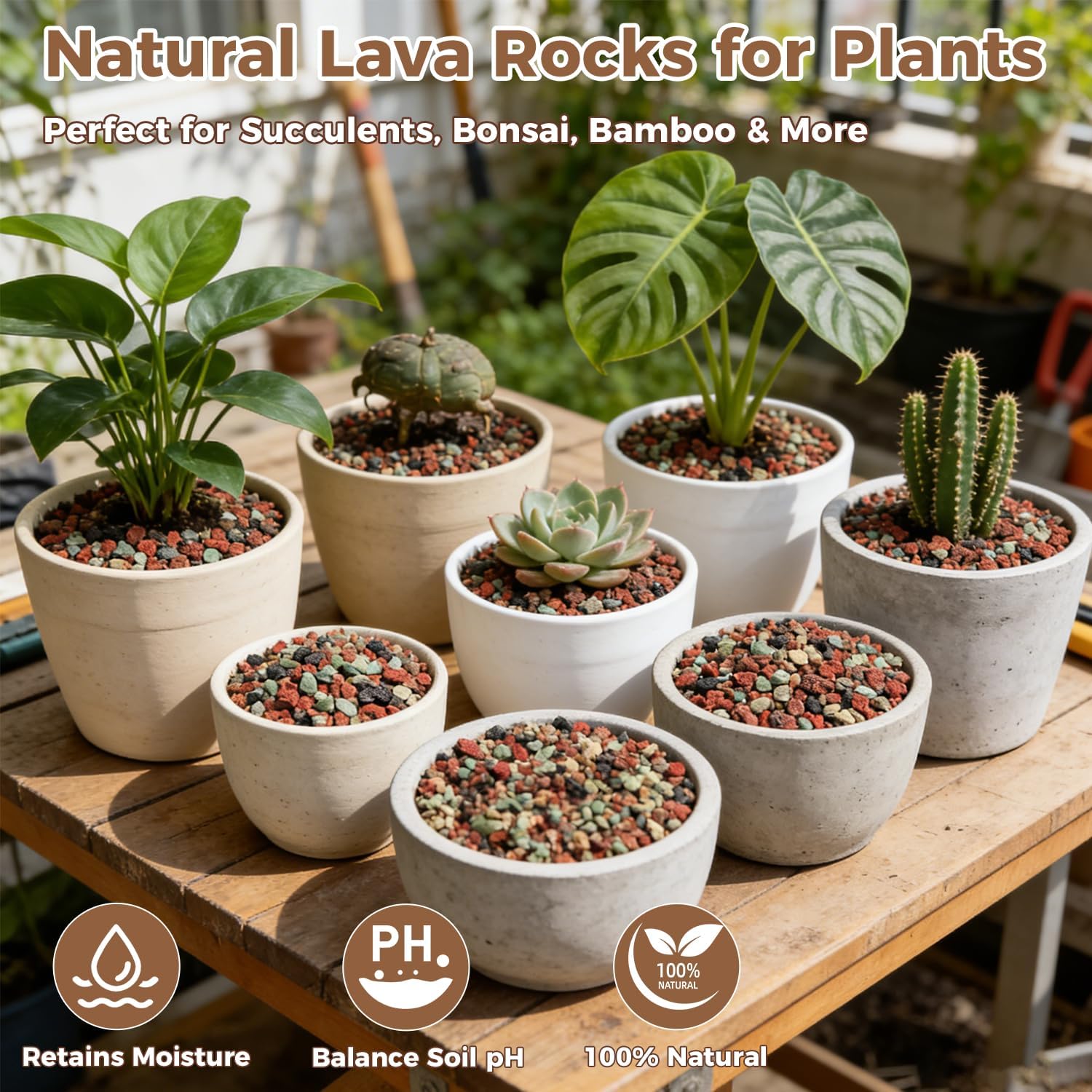 18lb Mix Lava Rocks for Plants 1/4" Horticultural Pumice for Plants, Succulent Cactus Soil Potting Mix - Horticultural